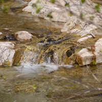 Photo de France - La randonnée des Gorges d'Héric